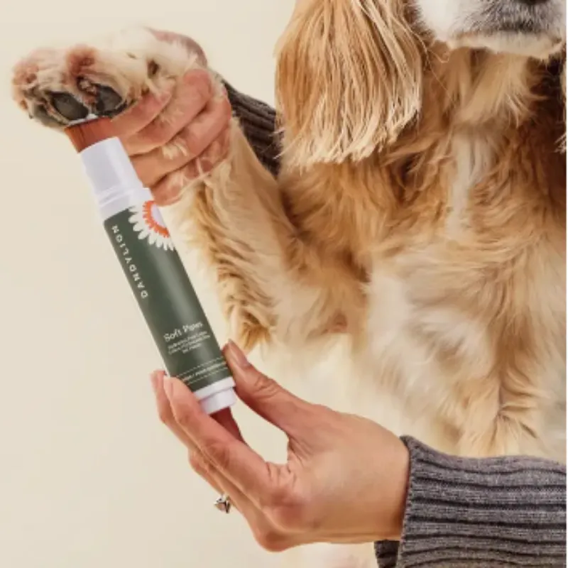 Dandylion Soft Paws Hydrating Paw Lotion