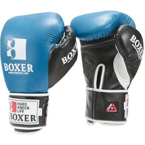 Isami Boxing Sparring Gloves